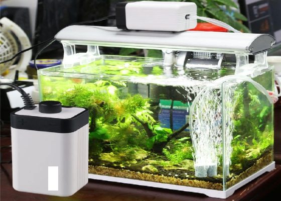 Đĩa sủi oxy hồ Koi